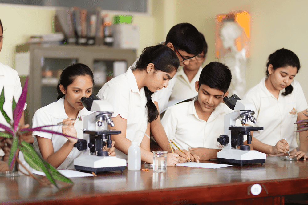 Schools, Education & International Institutions